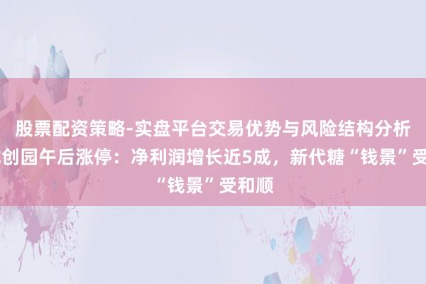 股票配资策略-实盘平台交易优势与风险结构分析 百龙创园午后涨停：净利润增长近5成，新代糖“钱景”受和顺