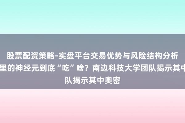 股票配资策略-实盘平台交易优势与风险结构分析 脑子里的神经元到底“吃”啥?南边科技大学团队揭示其中奥密